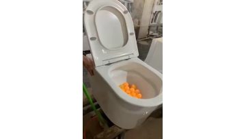 pulse toilet flushing 3