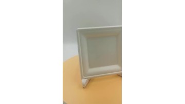 sugarcane bagasse 6 inches square tray