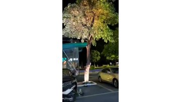 Courtyard Ring Landscape Tree Light Outdoor Waterproof Colorful Park Tree  Spotlight Outdoor Night Landscape Lighting1