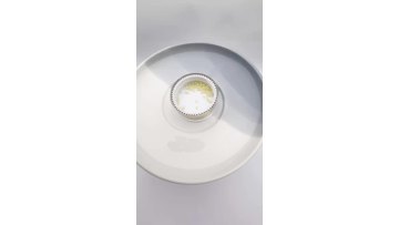 Probiotic Spheres