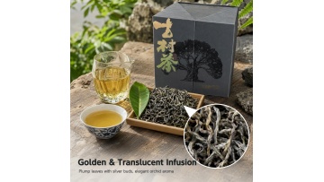 Brewing Video of Mengku Daxueshan Ancient Tree No.1 Tea