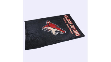 sublimated  printing 