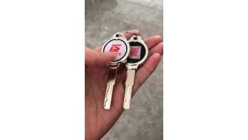 LS logo keys new design in 2021