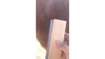 Deshedding Comb