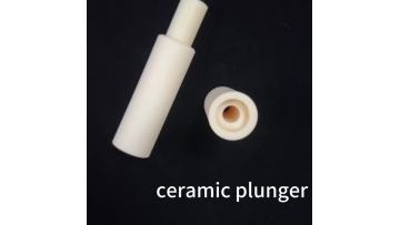 ceramic plunge