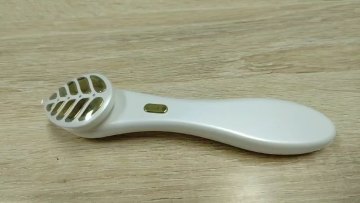2023 New Trends Handheld home mini skin care import beauty Instrument with golden leaf1