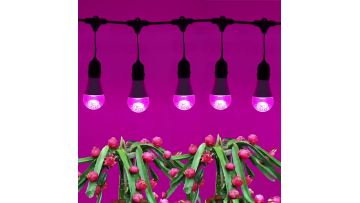 7W 9W 11W Full Spectrum LED Grow Light Bulb For Plant Flower Fruit Indoor Greenhouse Succulent Hydroponic Seedling1