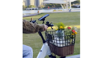 How To Use  The Basket of LC01EZ  Electric Bike
