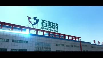 SHIJIAZHUANG NO.4 PHARMACEUTICAL GROUP LTD