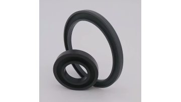 U cup seal main