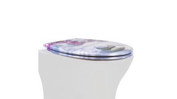 Toilet seat UF819-51