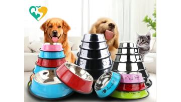 dog bowl walmart