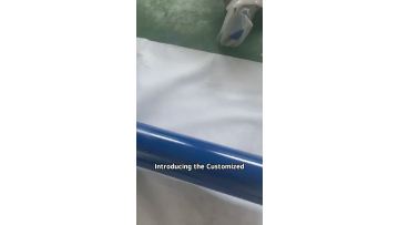 Hydraulic cylinder of flipping machine