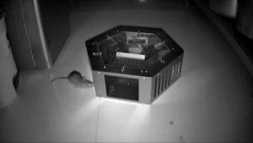 homemade rat traps.mp4