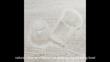 natural color pp hot drinking cup pudding bowl