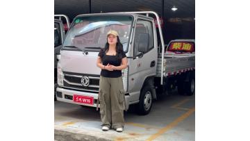 Dongfeng Xiaobawang W15 Light Truck