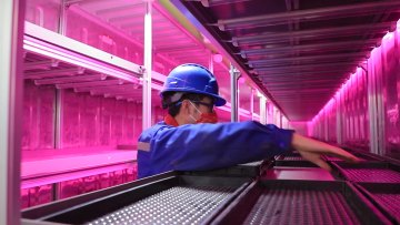 smart vertical farming equipments container hydroponic agricultural greenhouse animal fodder container1