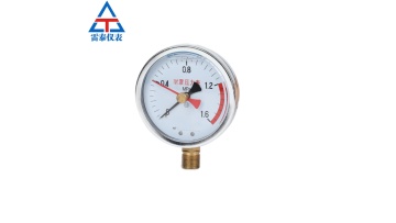 Double needle pressure gauge