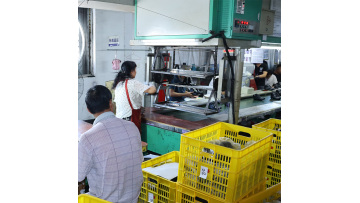 introduction of the product