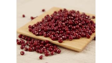 grain red bean2
