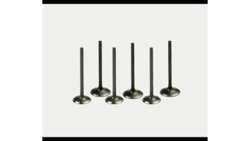 Exhaust Valve for Engine Systems 2