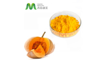 Pure Taste and Natural Bulk Pumpkin Powder Price1