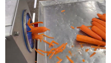 ST-XP1000 Automatic Carrot Peeling Machine