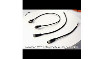 M12 Cable Assembly