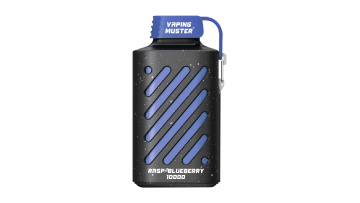VO BOX Vape 10000