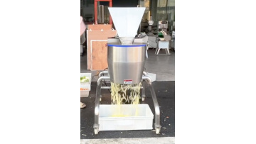 ST-T200 fruit vegetable shredding machine 
