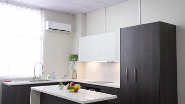 kitchen cabinet.mp4