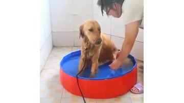 Foldable Dog Pool Large Dog PVC Swimming Pool_video