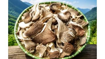 Oyster Mushrooms Foods