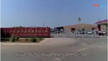 Company video