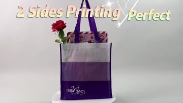 Non Woven Shopping Bag