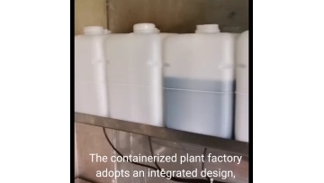 2022 Popular Products Hydroponics System 40 ft Container Greenhouse from China1