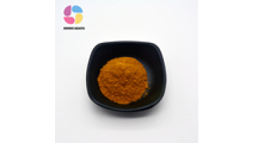 Best Price Ginkgo Biloba Extract 24% Flavonoids Powder1