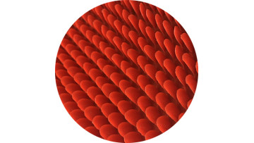 Anti-slip Stripe color  PVC Fish Scale Door Mat / PVC Door Mat1