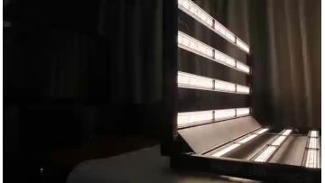 1000w Dual-mode grow light