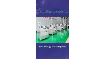 Dry granulation machine5