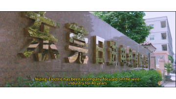 About Company Video