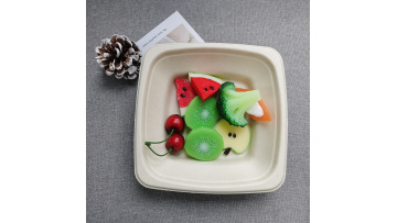 Biodegradable Disposable Sugarcane 16 oz Square Bowl
