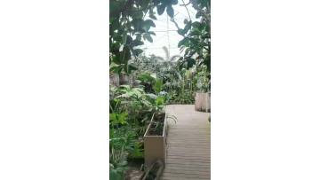 Functional Design Kitchenroom Greenhouse