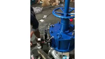 Pneumatic flange globe valve