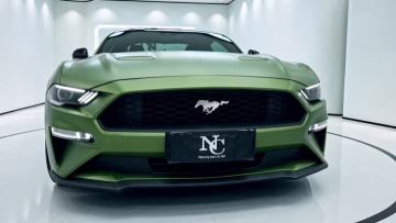 PL271-P Green Mamba Car Wrap