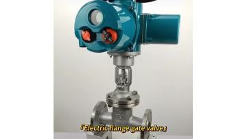 Electric Gate Valves