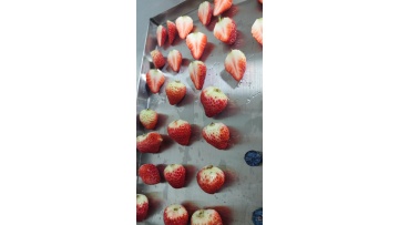 Continuous Drying Freeze Dryer Vacuum Freeze Dryin