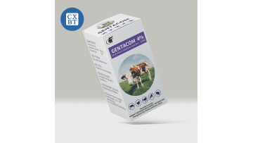 gentamycin sulfate injection
