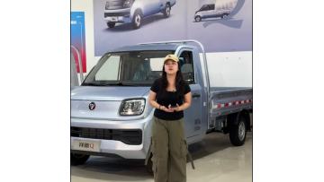 Foton Sapling V1 Micro Truck