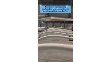 Video 55